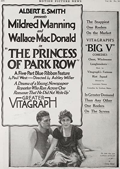 The Princess Of Park Row (1917) afişi The Princess Of Park Row (1917) afişi