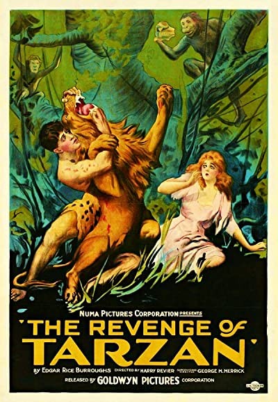 The Revenge Of Tarzan (1920) afişi The Revenge Of Tarzan (1920) afişi