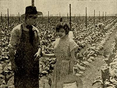 The Rose Of Kentucky (1911) afişi The Rose Of Kentucky (1911) afişi
