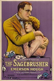 The Sagebrusher (1920) afişi