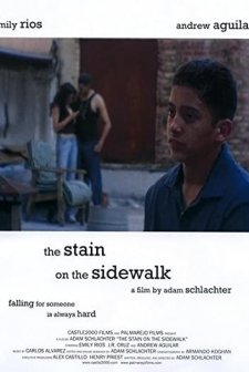 The Stain on the Sidewalk (2007) afişi