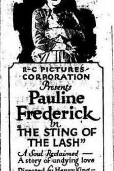 The Sting Of The Lash