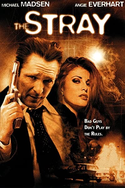 The Stray (2000) afişi The Stray (2000) afişi