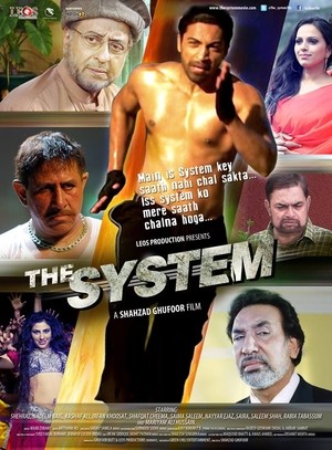 The System (2014) afişi The System (2014) afişi
