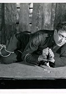 The Trail Of The Wolf (1922) afişi