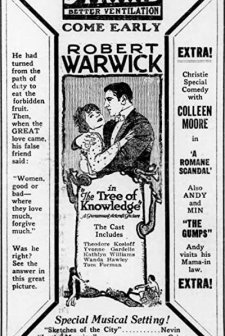 The Tree Of Knowledge