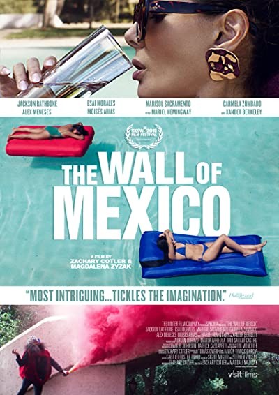 The Wall of Mexico (2019) afişi The Wall of Mexico (2019) afişi