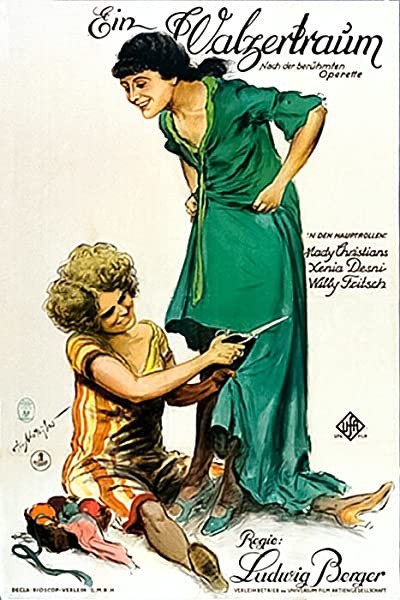 The Waltz Dream (1925) afişi The Waltz Dream (1925) afişi