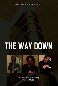 The Way Down (2016) afişi