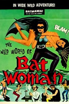 The Wild World of Batwoman (1966) afişi