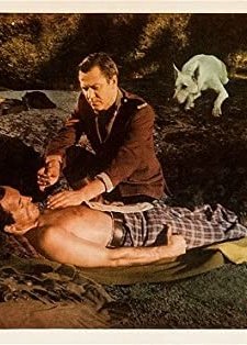 The Wolf Hunters (1949) afişi