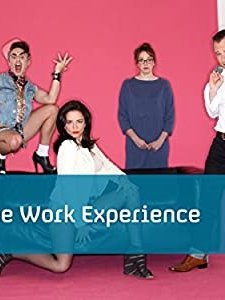 The Work Experience (2012) afişi