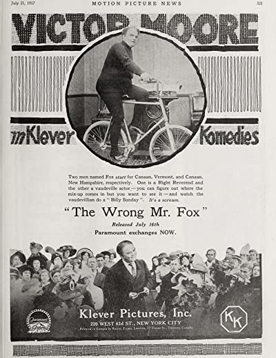 The Wrong Mr. Fox (1917) afişi The Wrong Mr. Fox (1917) afişi