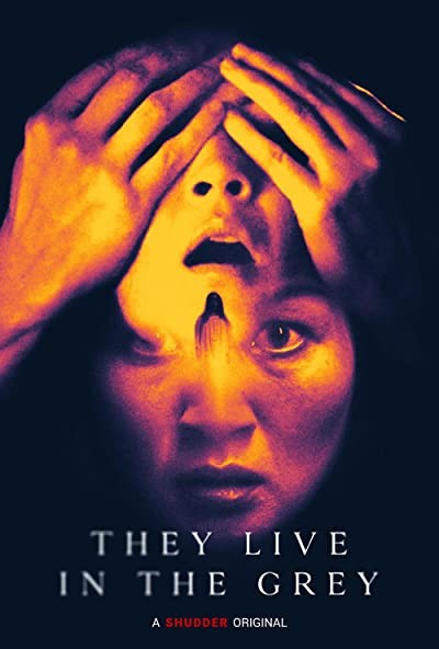 They Live in the Grey (2022) afişi They Live in the Grey (2022) afişi
