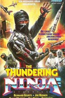 Thundering Ninja