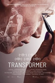 Transformer (2017) afişi