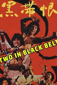 Two In Black Belt (1978) afişi