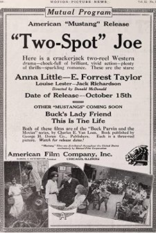 Two Spot Joe (1915) afişi