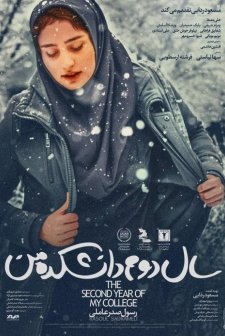 Üniversitede İkinci Yılım