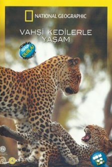 Vahşi Kedilerle Yaşam