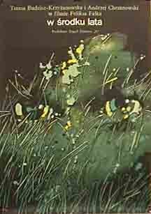 W Srodku Lata