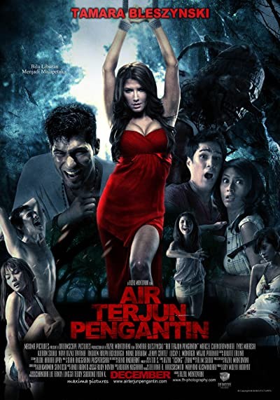 Waterfall Bride (2009) afişi Waterfall Bride (2009) afişi