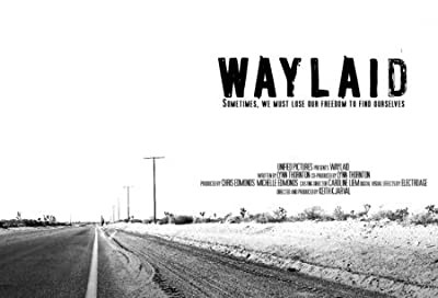 Waylaid (2007) afişi Waylaid (2007) afişi