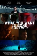 What You Want Is Gone Forever (2014) afişi What You Want Is Gone Forever (2014) afişi