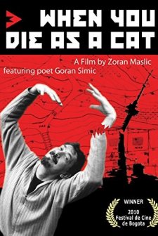 When You Die As A Cat