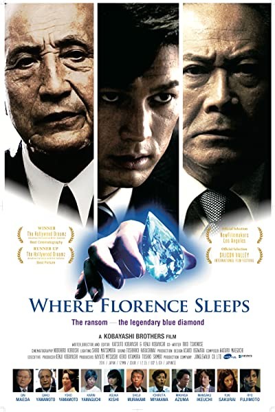 Where Florence Sleeps (2016) afişi Where Florence Sleeps (2016) afişi
