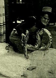 While Baby Slept (1913) afişi