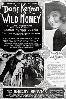 Wild Honey (1918) afişi