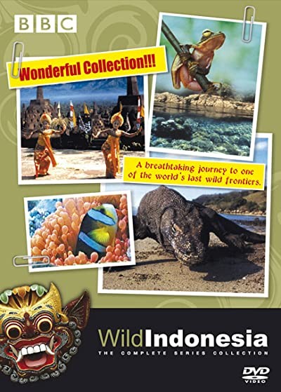 Wild ındonesia (1999) afişi Wild ındonesia (1999) afişi