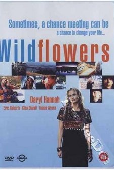 Wildflowers (1999) afişi