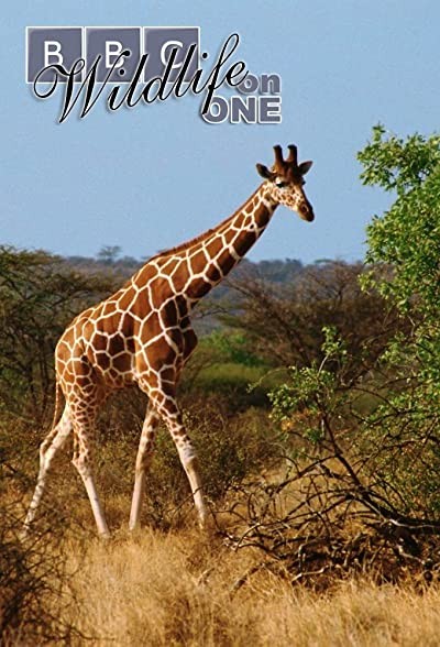 Wildlife On One (1977) afişi Wildlife On One (1977) afişi