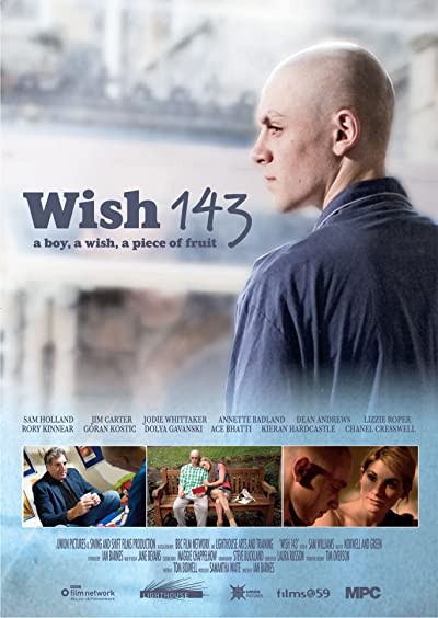 Wish 143 (2009) afişi Wish 143 (2009) afişi