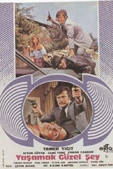 Yaşamak Güzel Şey (1977) afişi