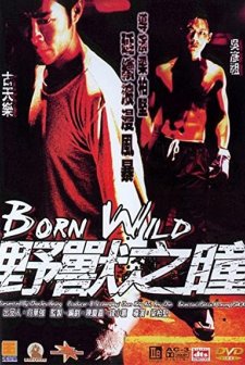 Yau Sau Ji Tung (2001) afişi