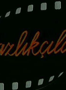 Yazlıkçılar (1993) afişi