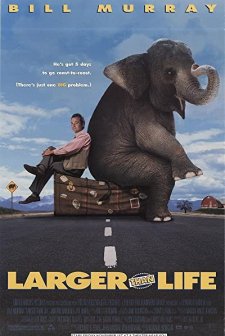 Yol Arkadaşım Bir Fil (1996) afişi