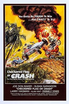 Zafer Aslanları (1977) afişi