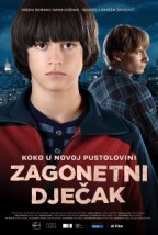 Mysterious Boy (2013) afişi Mysterious Boy (2013) afişi