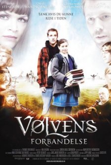 Zamanda Yolculuk: Viking'in Laneti (2010) afişi