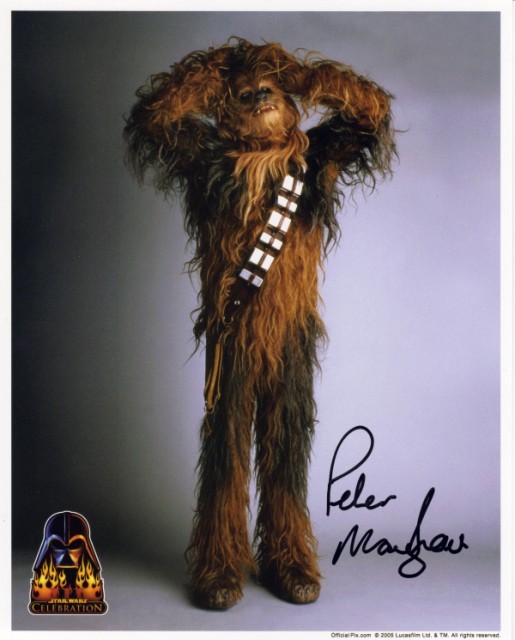 Peter Mayhew Fotoğrafları 2