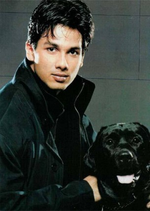 Shahid Kapoor Fotoğrafı