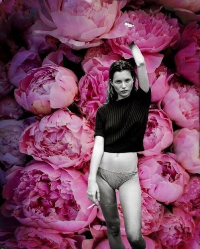Kate Moss Fotoğrafı