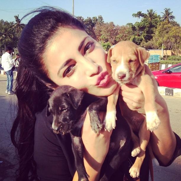 Shruti K. Haasan Fotoğrafı