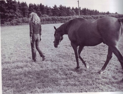 Robert Plant Fotoğrafı