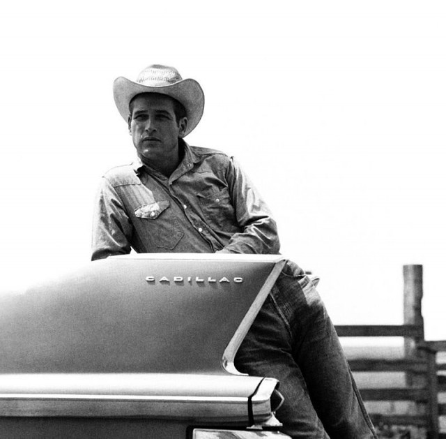 Paul Newman Fotoğrafları 65