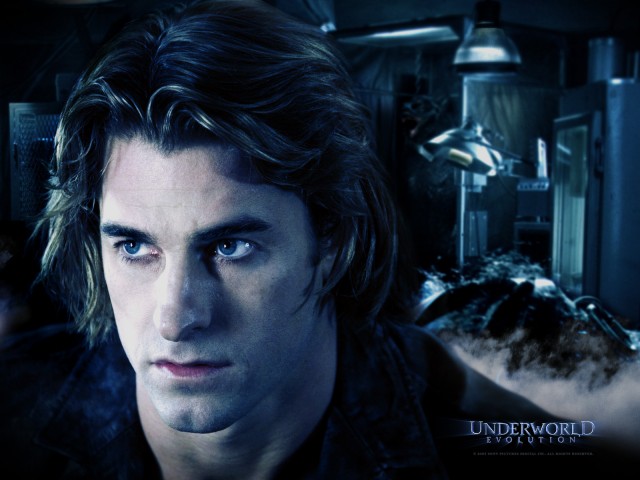 Scott Speedman Fotoğrafları 5